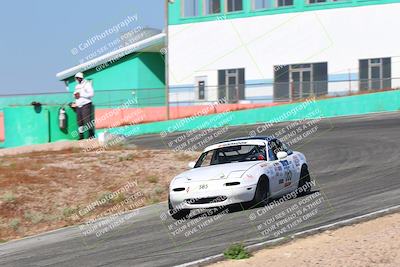 media/May-06-2023-Lucky Dog Racing (Sat) [[8f2256f436]]/Qualifying race/